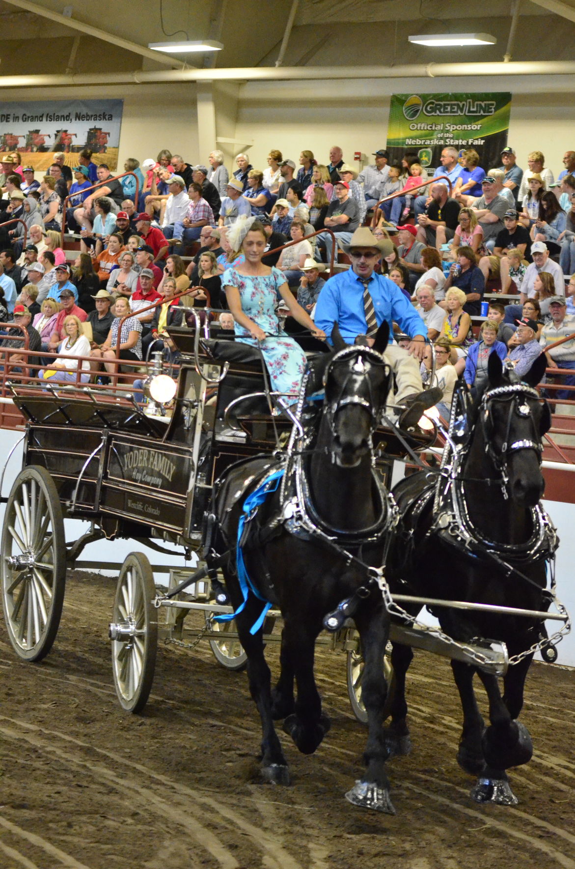 8-25-19 Draft Horse Hitch Final (60).JPG